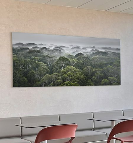 curaduría de arte oficinas Lincoln