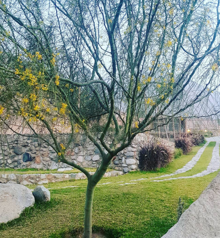 casaensueño 1G